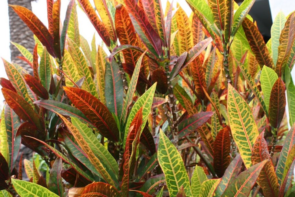 Energía Sutil tercera parte