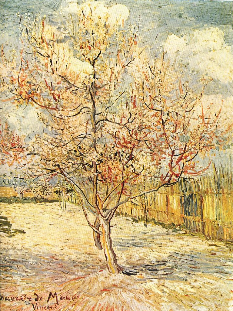 Indicaciones para sensitivos Indicaciones para sensitivos