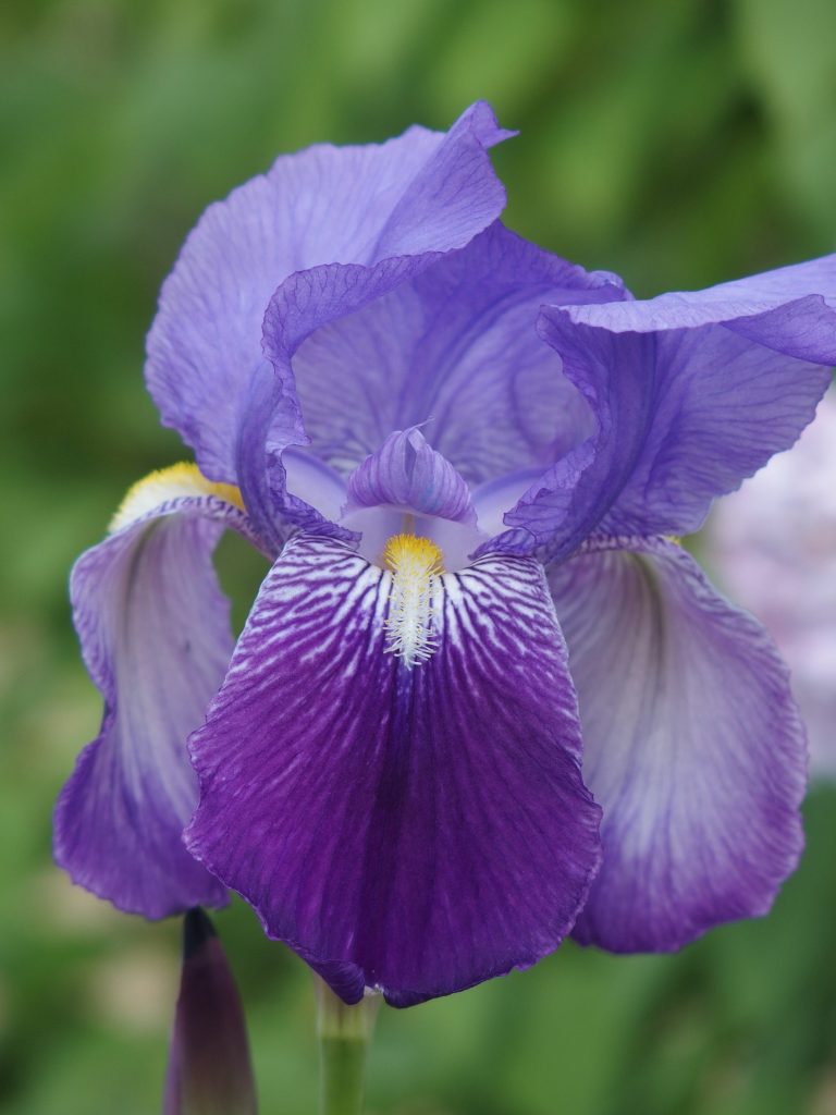 Mi Hipotiroidismo curado. Mi Hipotiroidismo curado.