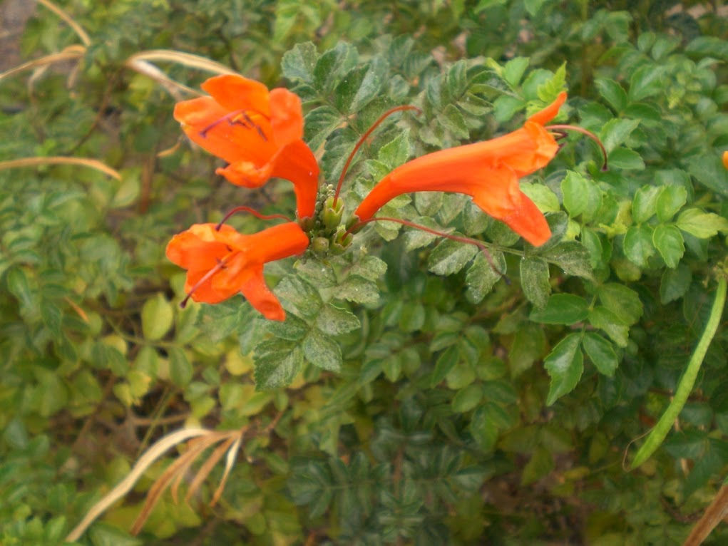 Mente Superior Asignaturas Pendientes y postura