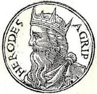 Los hijos de Herodes 6