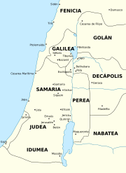 Los hijos de Herodes 8