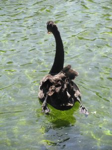 Tertulia sobre uso del Cuerpo Superior 2