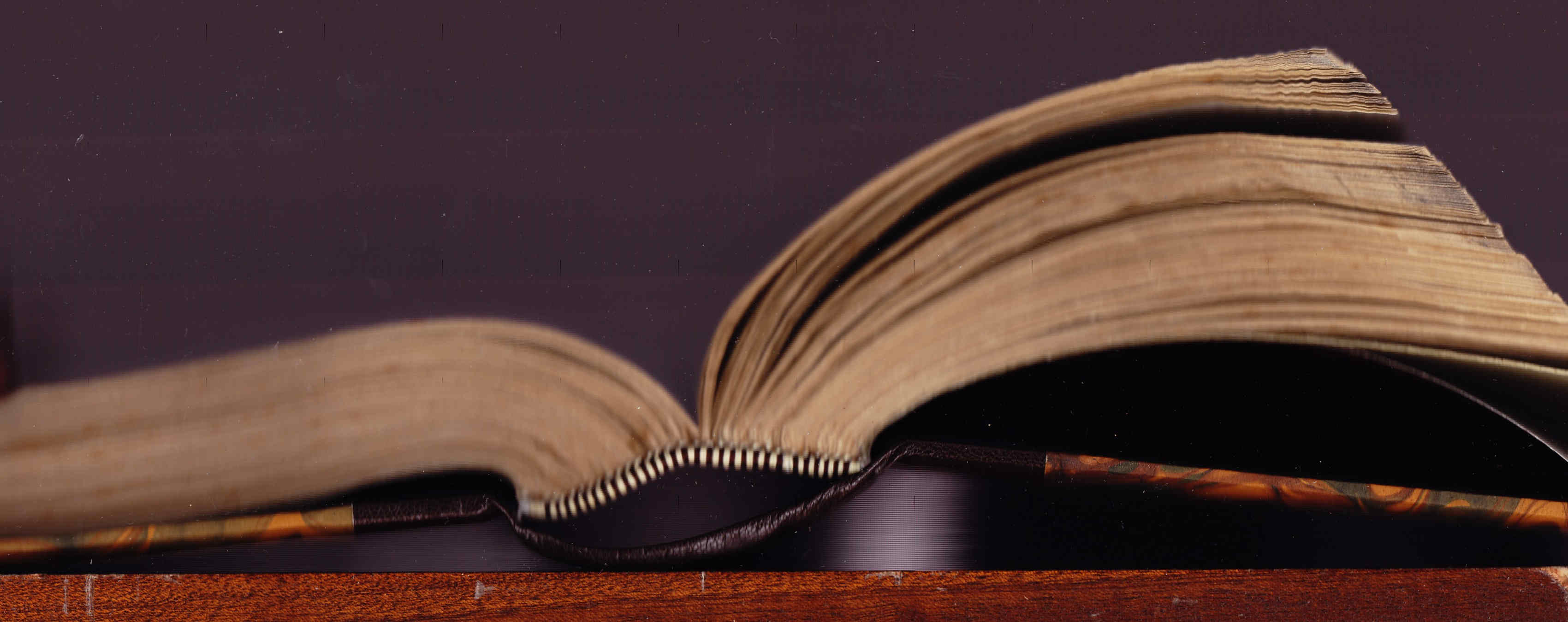 Restauración de libro antiguo y Diccionario inglés