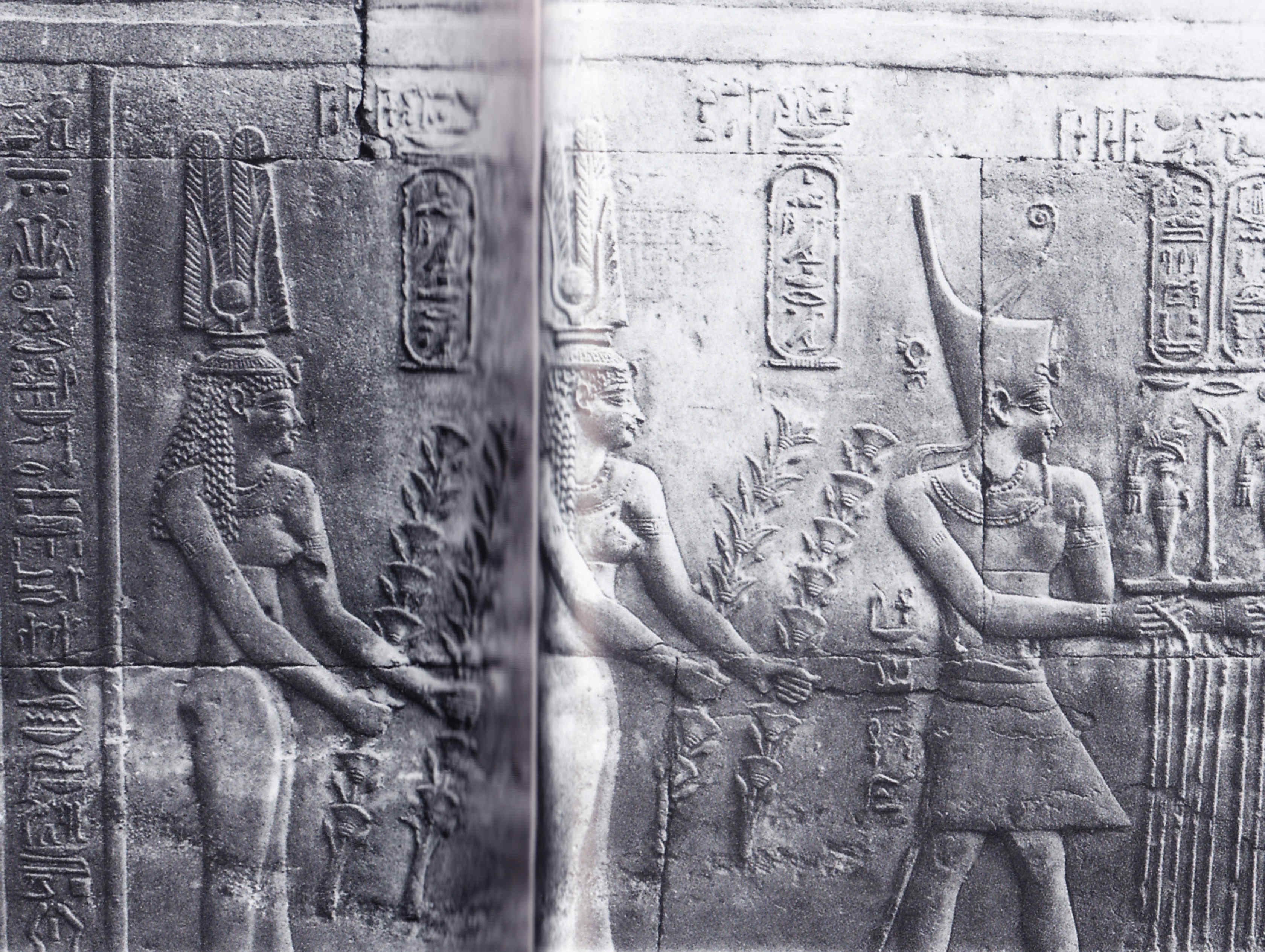 Egipto Antiguo 43 y Ptolomeo VIII Evergetes 2