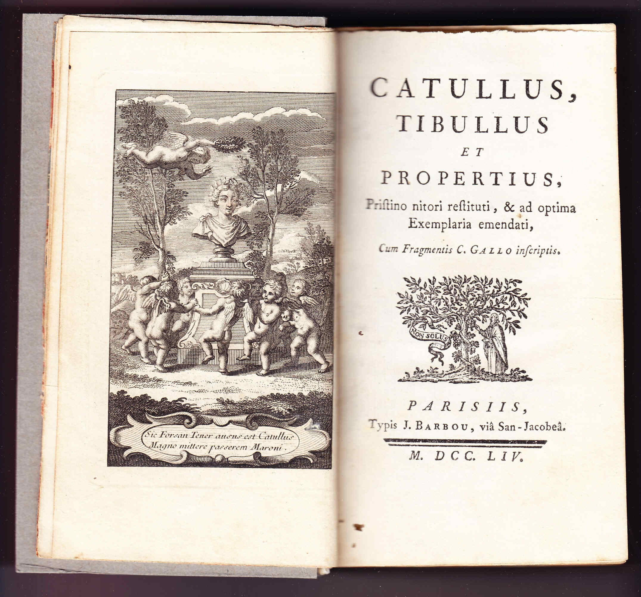 Restauración de libro antiguo y Catulo