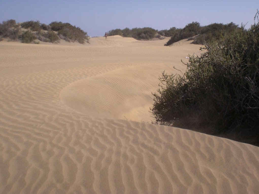 Deformaciones 2 Deformaciones 2