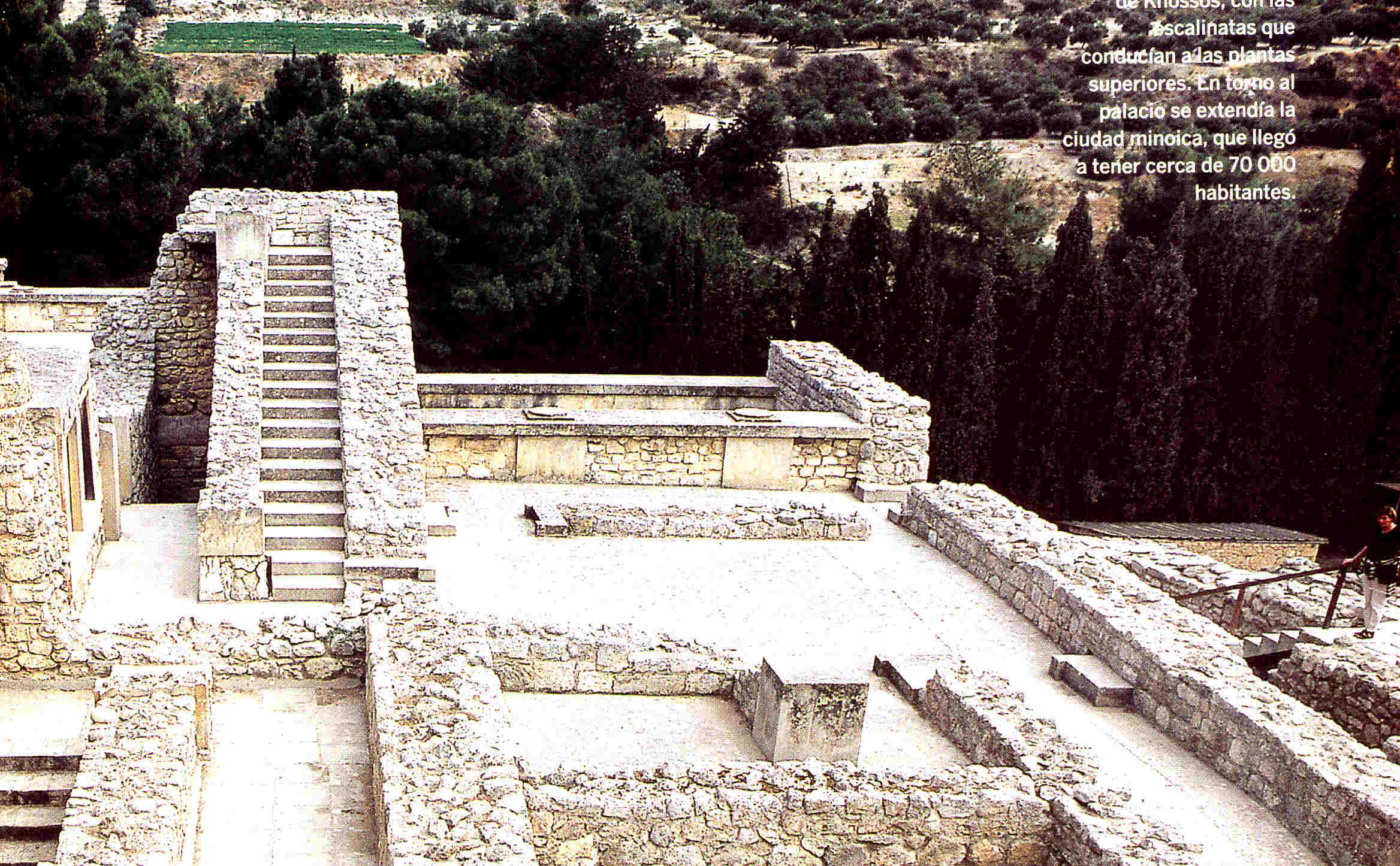 El Palacio de Cnossos La civilización minoica Grecia clásica 4