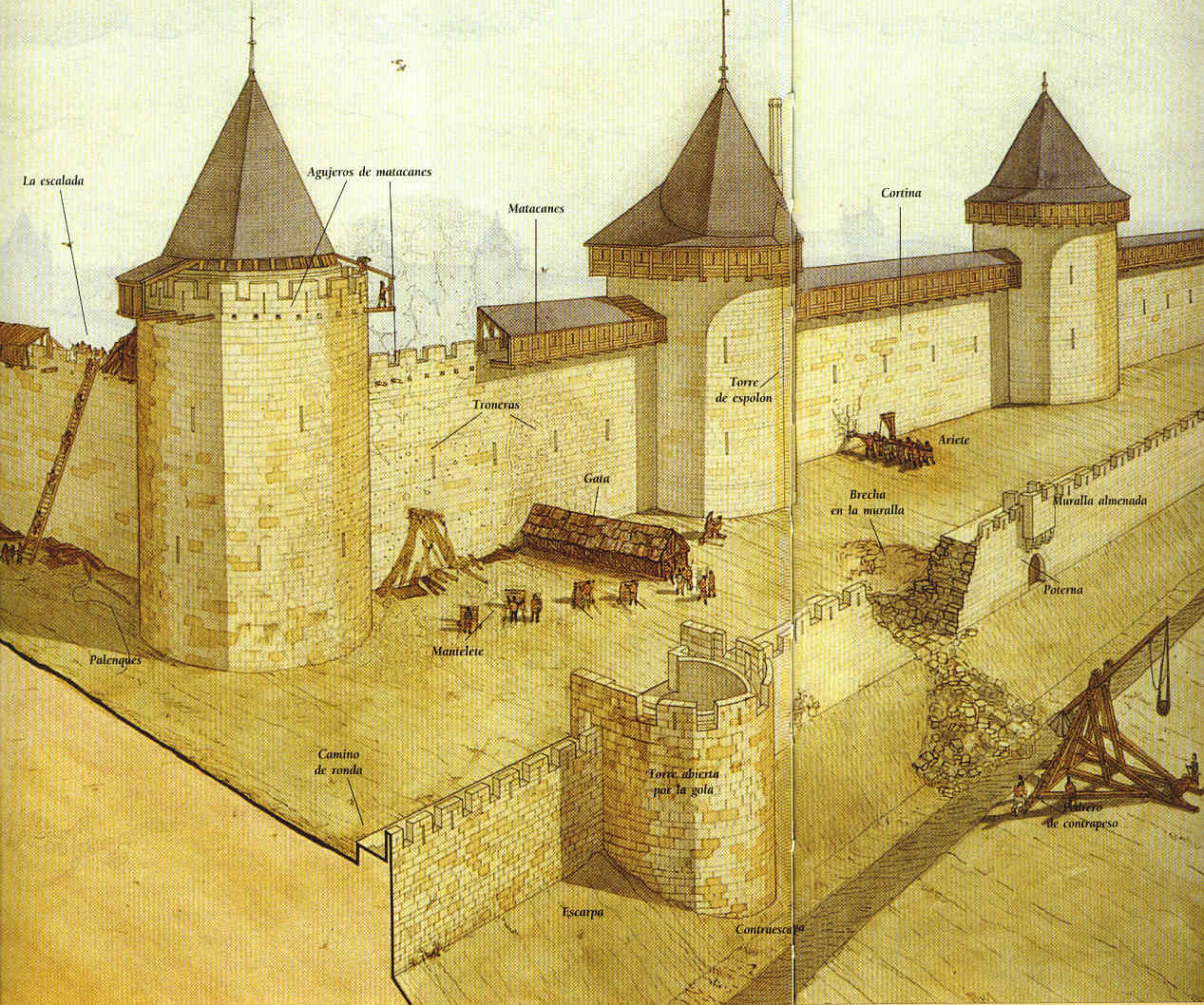 Carcassonne y la Cruzada