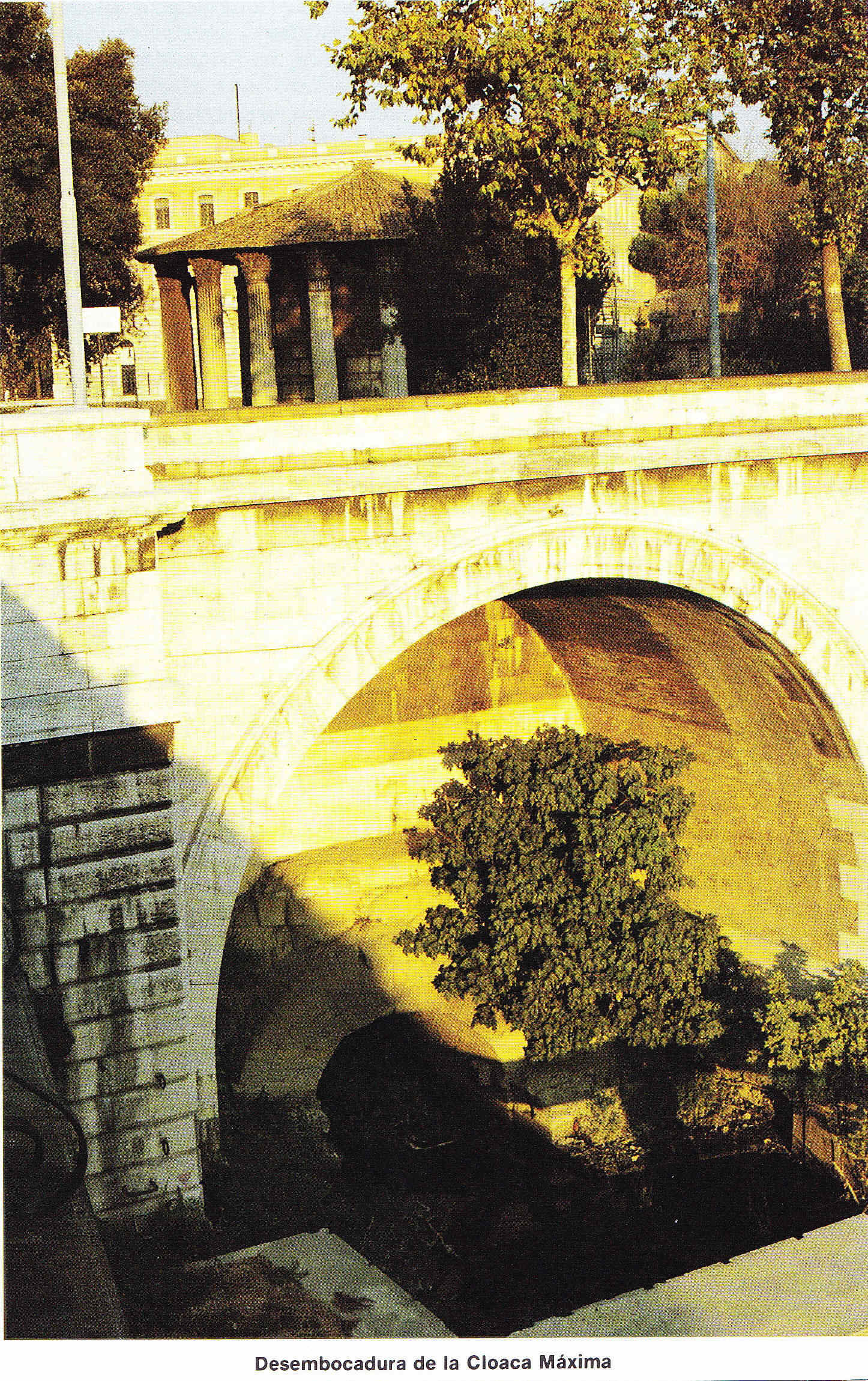 Egipto Antiguo 164 El final de Juba Egipto Antiguo 164 El final de Juba