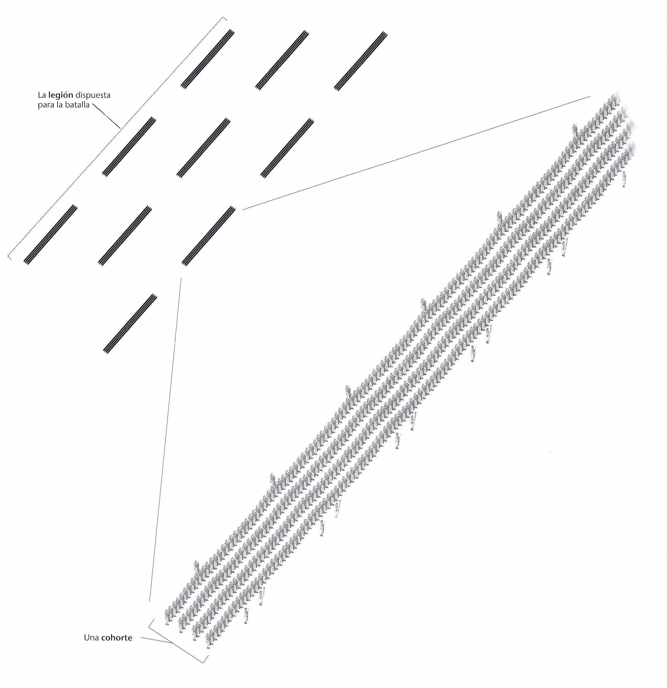 Egipto Antiguo 136 César en Africa contra Escipión Uzita