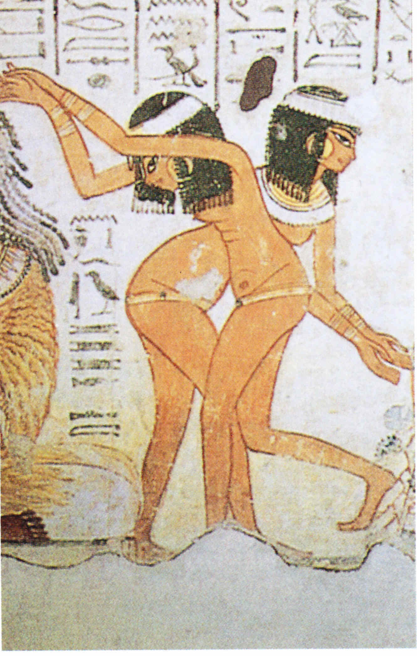 Egipto Antiguo 44 y Ptolomeo VIII Evergetes 3