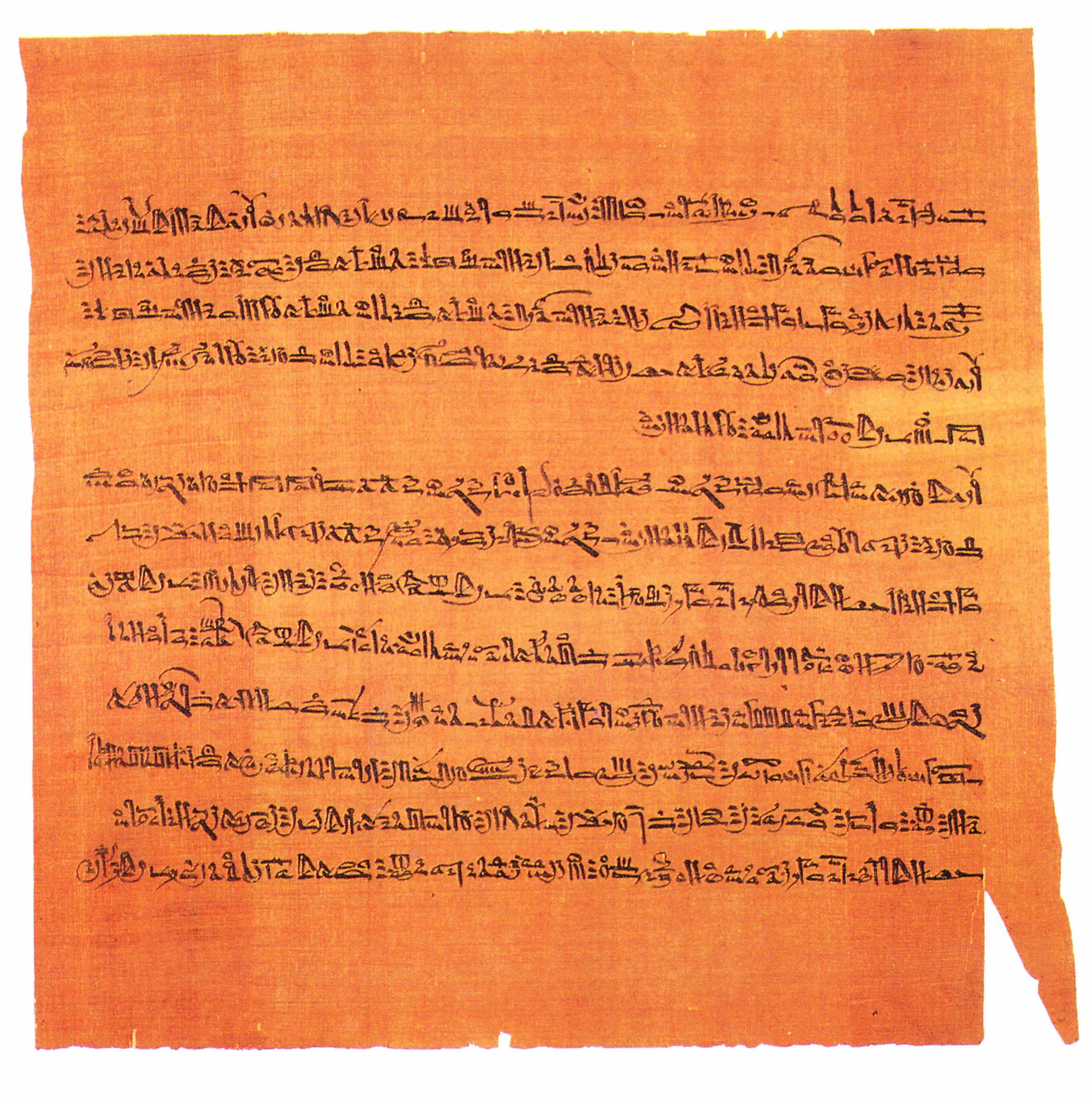 Egipto Antiguo 87 La cita