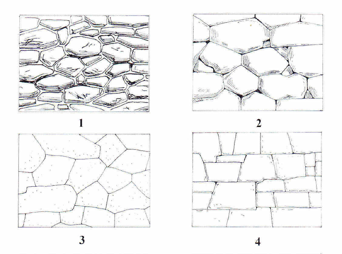 Egipto Antiguo 111 Los modos de César con los rodios