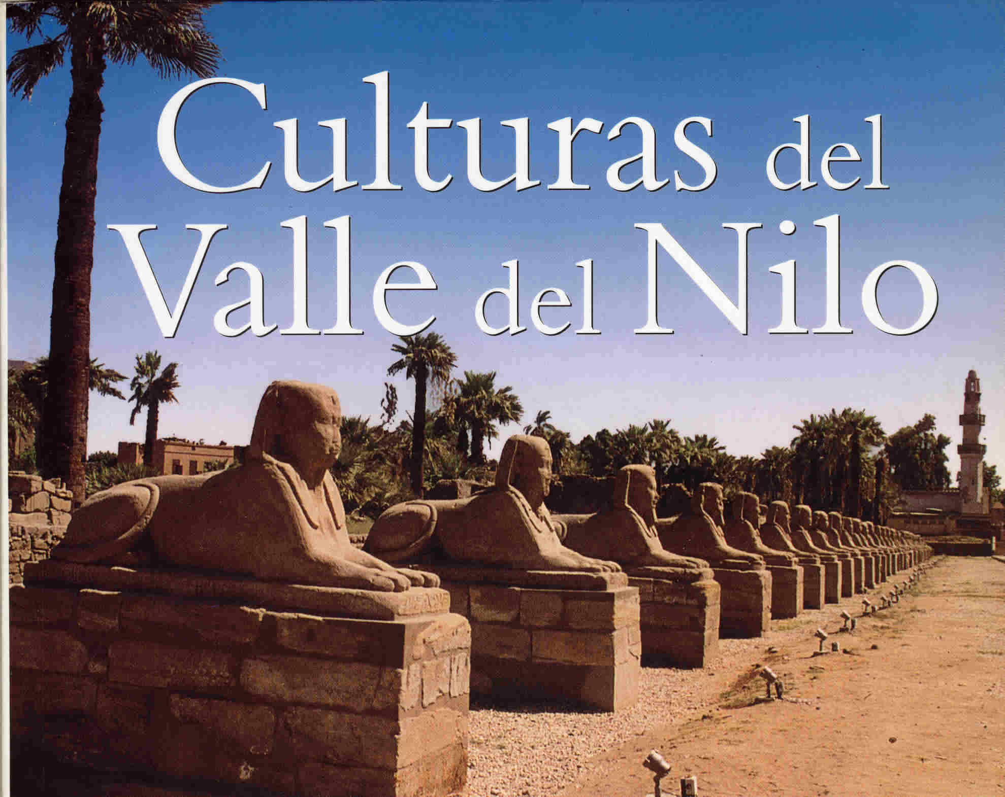 Egipto antiguo 215 Mis fuentes de Egipto 1 Egipto antiguo 215 Mis fuentes de Egipto 1