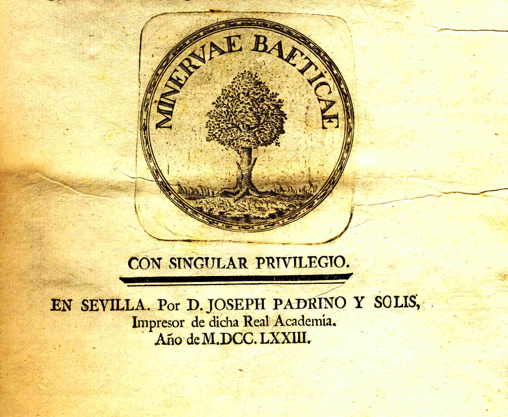 Mis grandes libros antiguos 2