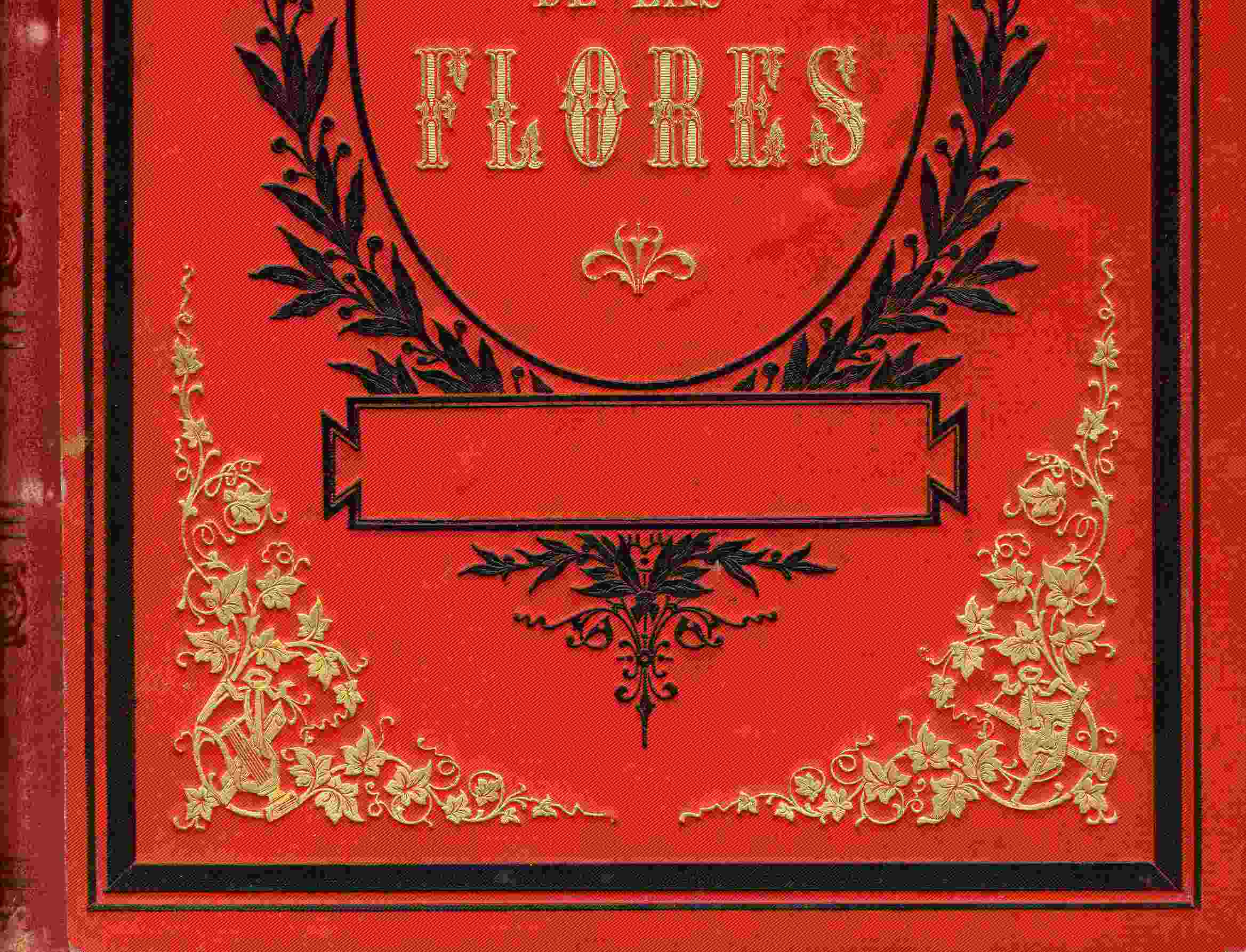 Mis grandes libros antiguos 2