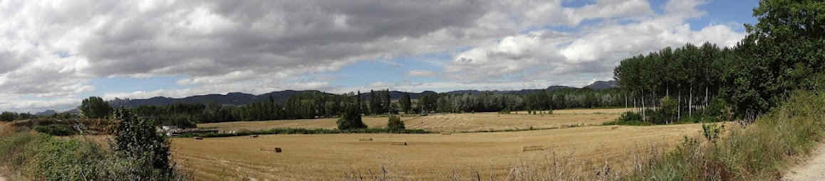 Quién soy yo Quién soy yo