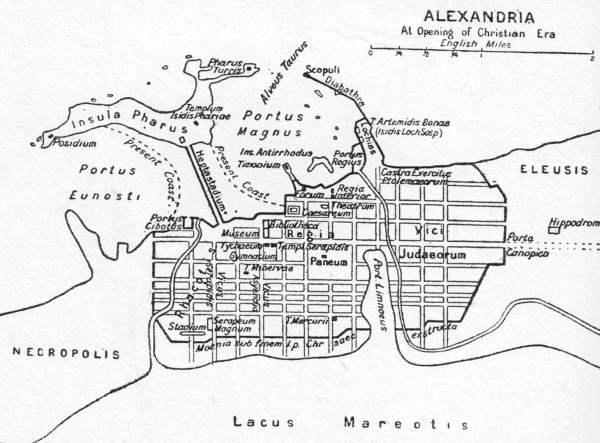 Egipto Antiguo 113 Julio Cesar cogido entre dos fuegos Egipto Antiguo 113 Julio Cesar cogido entre dos fuegos