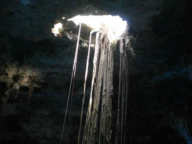 Sentimentales 100 y Mente Superior 2 Sentimentales 100 y Mente Superior 2