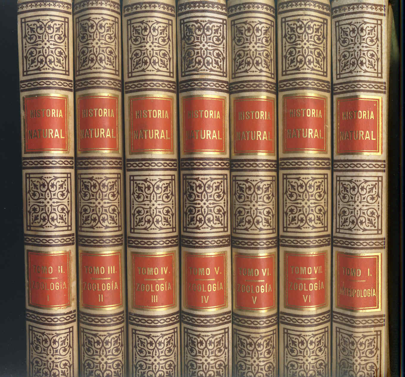 Mi biblioteca Los orígenes