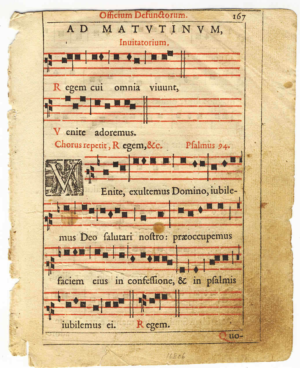 Mi biblioteca 2 Las hojas