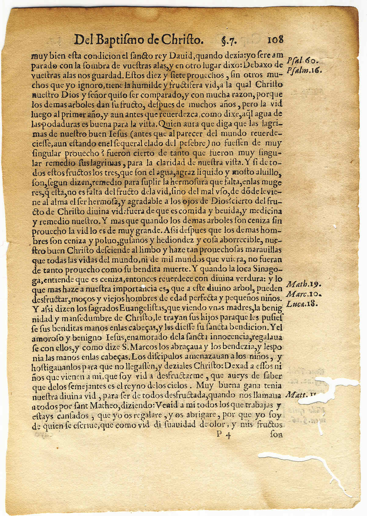 Mi biblioteca 2 Las hojas