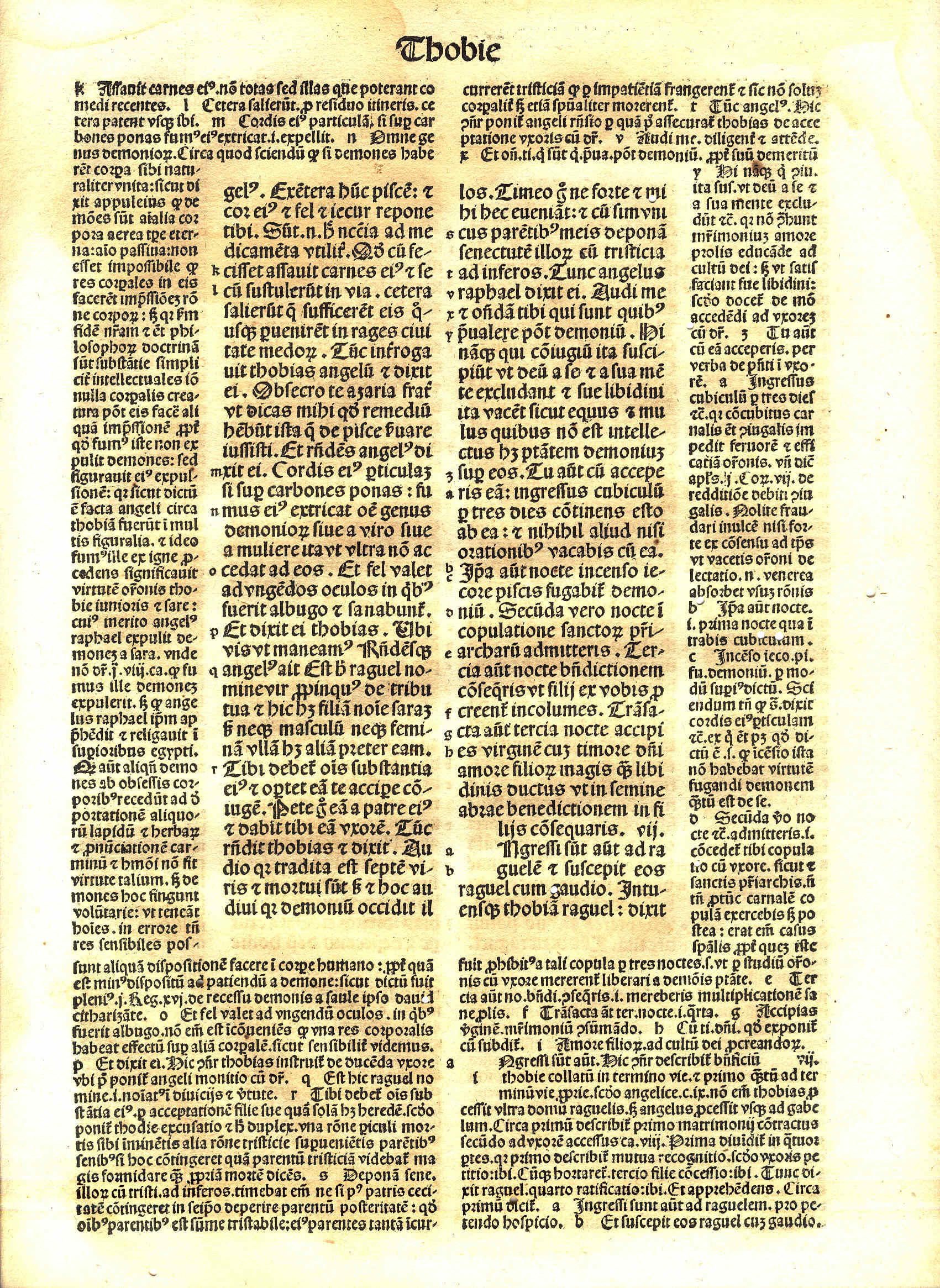 Mi biblioteca 4 Las hojas en latín Mi biblioteca 4 Las hojas en latín