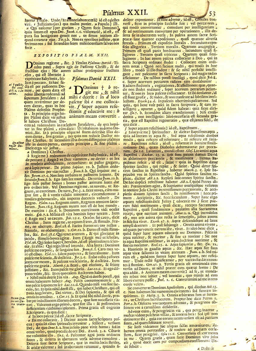 Mi biblioteca 4 Las hojas en latín Mi biblioteca 4 Las hojas en latín
