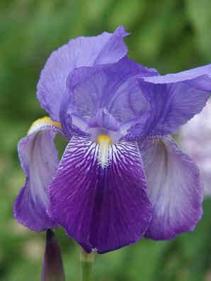 Ventajas de los sentimentales Ventajas de los sentimentales