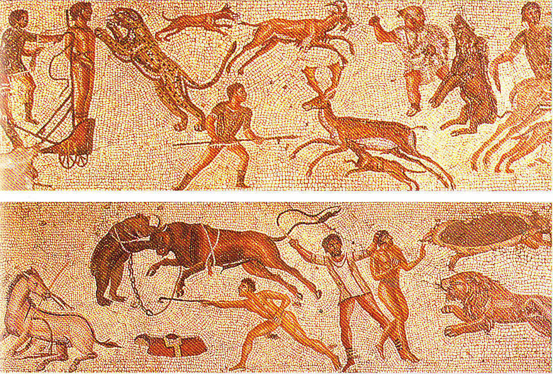 Egipto Antiguo 210 Al Anfiteatro o Coliseo de Roma